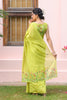 Gulbagh Sari